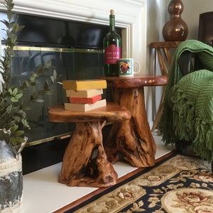 Tree Stump Stool, Natural Edge Side Table End Table, Wood Plant Stand, Nightstand, Wood Accent Stool, Outside Furniture, Live Edge, Rustic