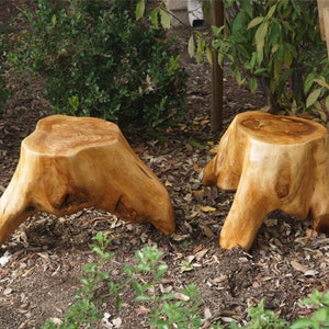 Cedar Root Stool, Tree Stump Stool, Natural Edge Side Table, Plant Stand, Nightstand, Wooden Stool, Accent Table, Seat Stool, Rustic