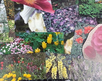 25 pcs Hand-Cut Floral Ephemera, Photographic- fussy cut flowers plants for junk journal, collage, glue book, idea board, paper craft, scrap