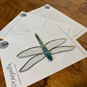May include: A stained glass dragonfly pattern with a white and teal blue design. The pattern is printed on a white sheet of paper with the text "Dragonfly" and "A copyright pattern by Emma Miller".