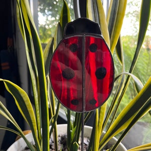 Ladybird plant stake, Ladybird suncatcher, Wildlife Gift, Stained Glass Ladybird, Ladybug, Insect present, plant pot stake, gardener gift