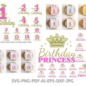 1～15 歳の誕生日 SVG バンドル、私の誕生日です SVG、誕生日の女王 SVG、誕生日のチーム SVG、誕生日おめでとう SVG、ママとパパの誕生日プリンセス SVG