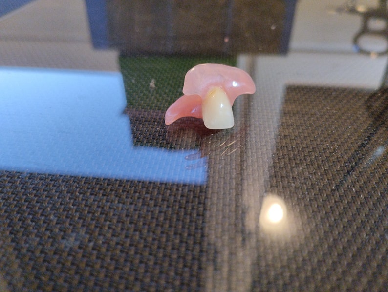 Denture Flipper Upper Free Prosthetic Box Etsy