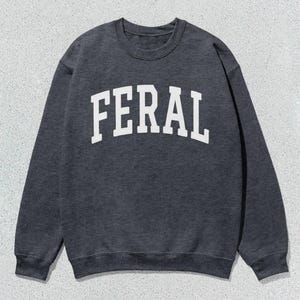 May include: A dark gray sweatshirt with a white arch design that reads "FERAL".