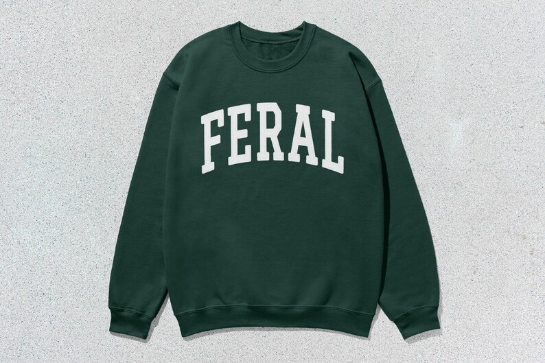 May include: A dark green sweatshirt with the word "FERAL" printed in white on the front.