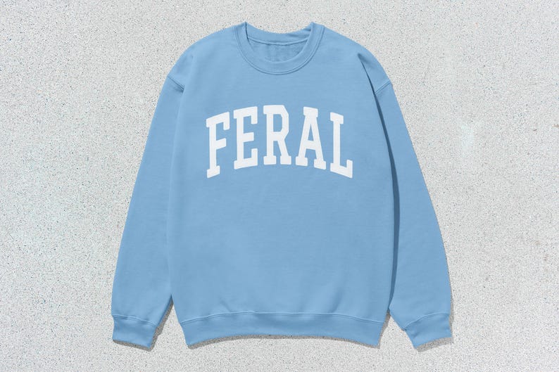 May include: A light blue sweatshirt with the word "FERAL" printed in white on the front.