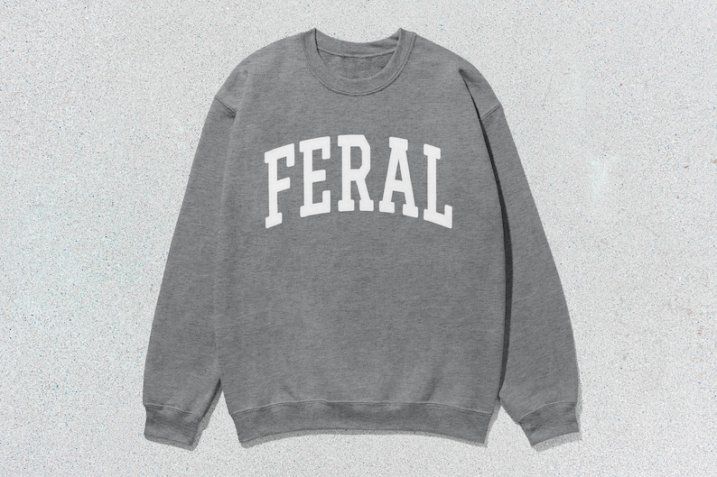 May include: A gray sweatshirt with the word "FERAL" printed in white on the front.