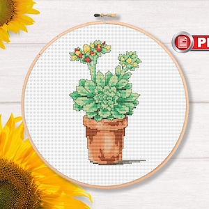 Succulent Cross Stitch Pattern, Cacti Cross Stitch Patterns, Potted Plants Cross Stitch Patterns, Flowers Cross Stitch Pattern #fl.005