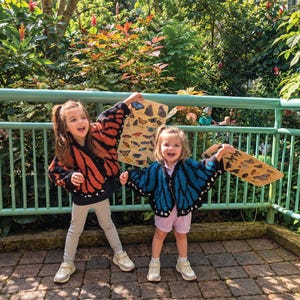 May include: Two knitted cardigans featuring butterfly wing patterns. One cardigan is orange and black, while the other is blue and black. Both garments have long sleeves, a button-front closure, and white detailing along the bottom hem.