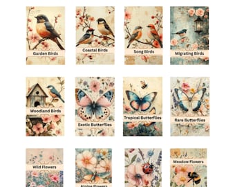 Puede incluir: Doce cubiertas de libros en miniatura con escenas de la naturaleza. Cada cubierta tiene un tema diferente, que incluye pájaros de jardín, pájaros costeros, pájaros cantores, pájaros migratorios, pájaros del bosque, mariposas exóticas, mariposas tropicales, mariposas raras, flores silvestres, flores alpinas, flores secas y flores de prado.