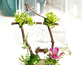 Jumping Spider Woodland Swing