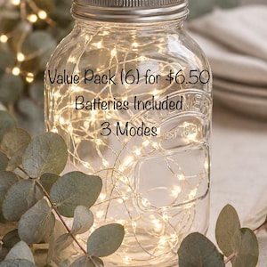 Può includere: Un barattolo di vetro trasparente con coperchio in metallo argentato, riempito con luci a filo di rame che emettono una luce calda. Il testo sul barattolo recita: Value Pack (6) for $6.50, Batteries Included, 3 Modes. Barattolo con scritte in rilievo.