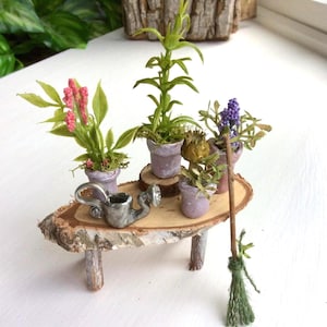 May include: A miniature wooden table with bark edges holds four small potted plants with pink, green, and purple foliage, a silver-toned metal watering can, and a small broom with a green twine brush resting against the side of the table.