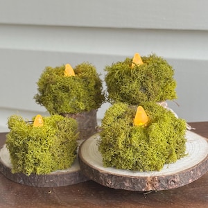 Moss Tea-lights Set of 4, Lush Moss, Hand preserved Cladonia rangiferina moss. Batter is included! Forest theme, Woodland theme.
