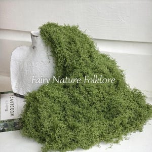 Puede incluir: Una composición decorativa con un jarrón blanco texturizado y un material verde similar al musgo. El texto "Fairy Nature Folklore" es visible en el jarrón. Un libro titulado "Woodlands" es parcialmente visible.