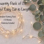 Fairy Lights