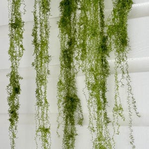 Puede incluir: Hilos de plantas artificiales verdes y en cascada sobre un fondo blanco con líneas horizontales. Los hilos son densos y texturizados, creando una apariencia natural y completa. El color de la planta es un verde vibrante y fresco.