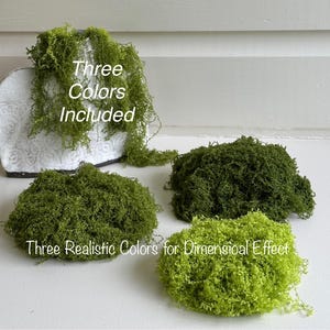 May include: An image showcasing three shades of green decorative moss. The moss is arranged in clumps and hanging strands, with text indicating three colors are included for a dimensional effect. The moss is a vibrant green.