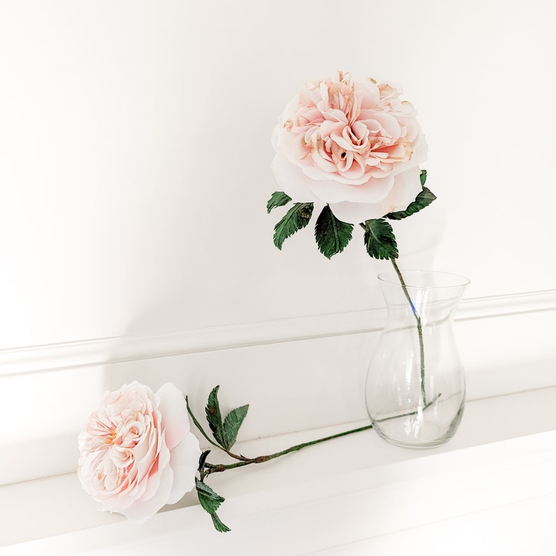 Paper Roses, Everlasting Flowers, 1st Anniversary Gift for Couple, Nature Decor, Botanical Art