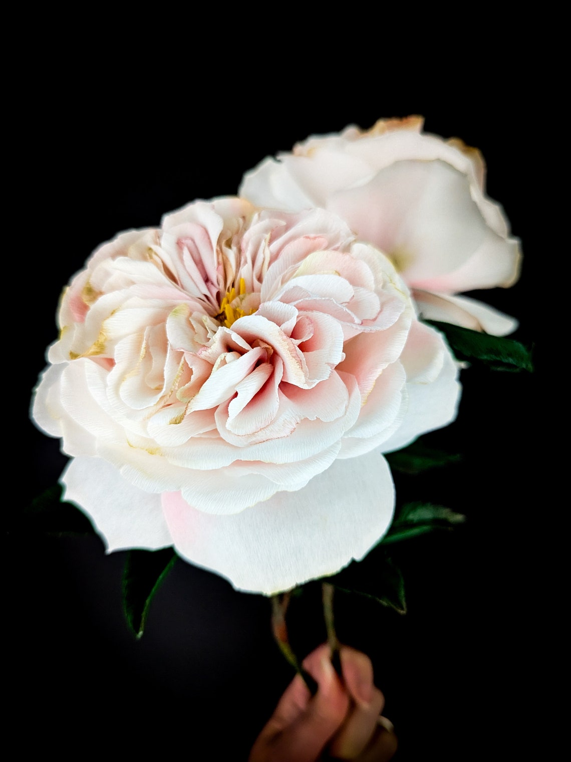 Paper Roses, Everlasting Flowers, 1st Anniversary Gift for Couple