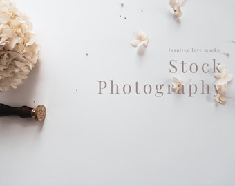 Mock up backdrop, Flat Lay backdrop, wedding mockup background, background photo, Stock image background, hydrangea background photo  M20