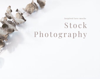 Flatlay mockup background, Eucalyptus background, neutral background, background stock photo, minimalist valentine background mockup, M20