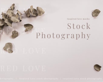 Flat Lay Hintergrund, Produkthintergrund, digitaler Hintergrund, Mockup Hintergrund, Hochzeit Hintergrund Mockup, Eukalyptus Foto, Foto M20