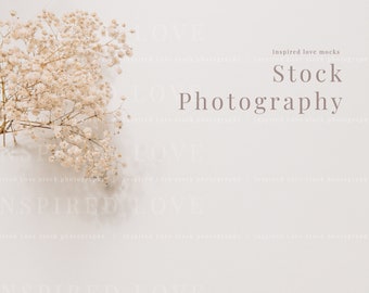 Floral background stock photography, Minimal stock image, Elegant wedding stock photo, modern bridal stock image, baby's breath stock photo