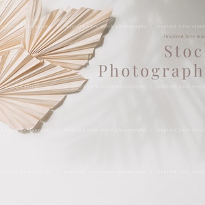 May include: Three beige palm leaf fans arranged on a white background. The fans are made of dried palm leaves and have a natural, rustic look. The background is a simple white surface, creating a clean and minimalist aesthetic.