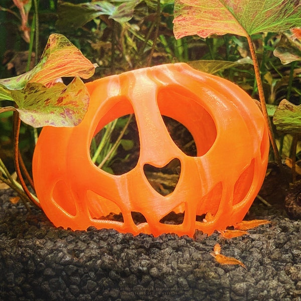 Aquarium Decoration Etsy