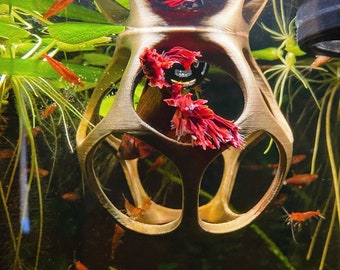 May include: A gold-colored metal fish tank divider with a geometric design. The divider is filled with red betta fish and has several small, orange fish swimming around it.