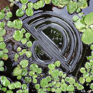Semi-circle shaped fish feeding rings for nano to large tanks in a pond with frogbit and water lettuce floating fish tank plants.