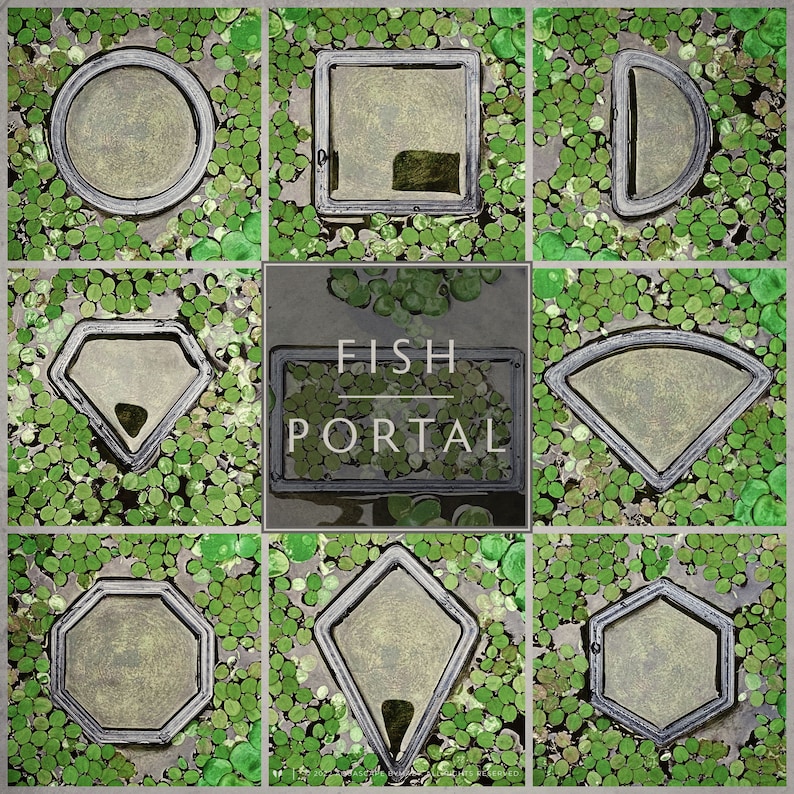 Fish tank portals feeding rings, aquarium decor betta/shrimp safe - plant corral / floating feeders - primitive shapes floater decoration.