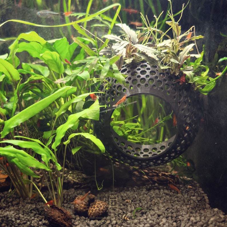 Large betta hammock in planted tank, promotes natural behaviours, such as hiding and exploring, reducing stress for your fish pets.