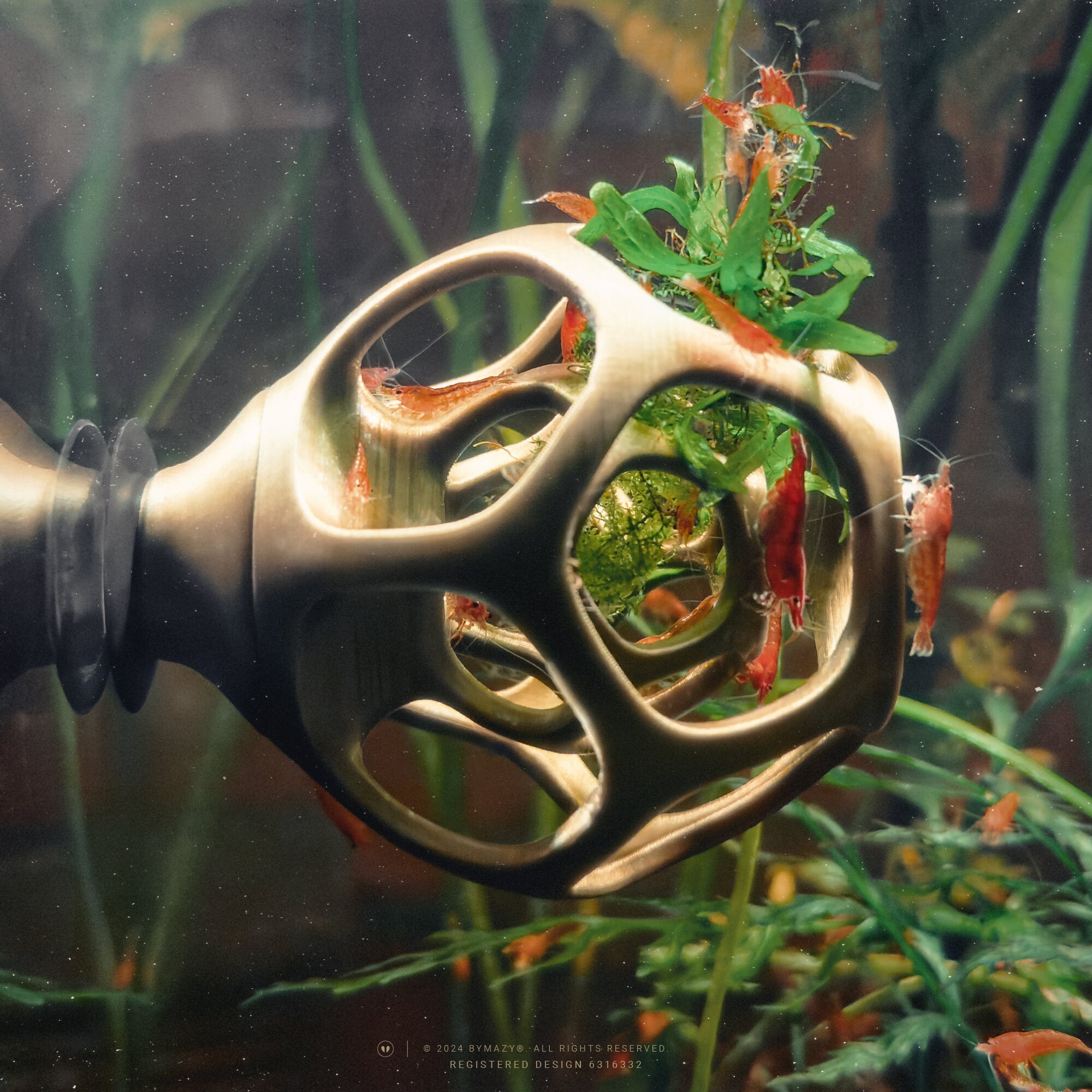 6 PCS Aquatic Plant Pot With Hole Glass Aquarium Cup