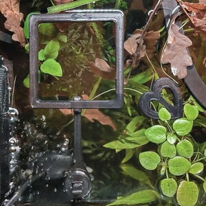 Lock-in-place System for Fish Tank Portals and Feeding Rings - Aquarium ...