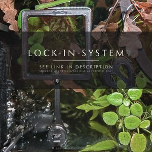 Fish tank portal with lock in place system, aquarium plant corral to contain frogbit floating aquarium plants.