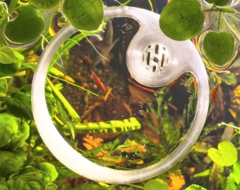 Anillo flotante de alimentación de peces con alimentador de cono, idea de regalo para cuidador de peces - Anillos flotantes de acuario Betta/seguro para camarones, portales de tanque plantas decoración de corral