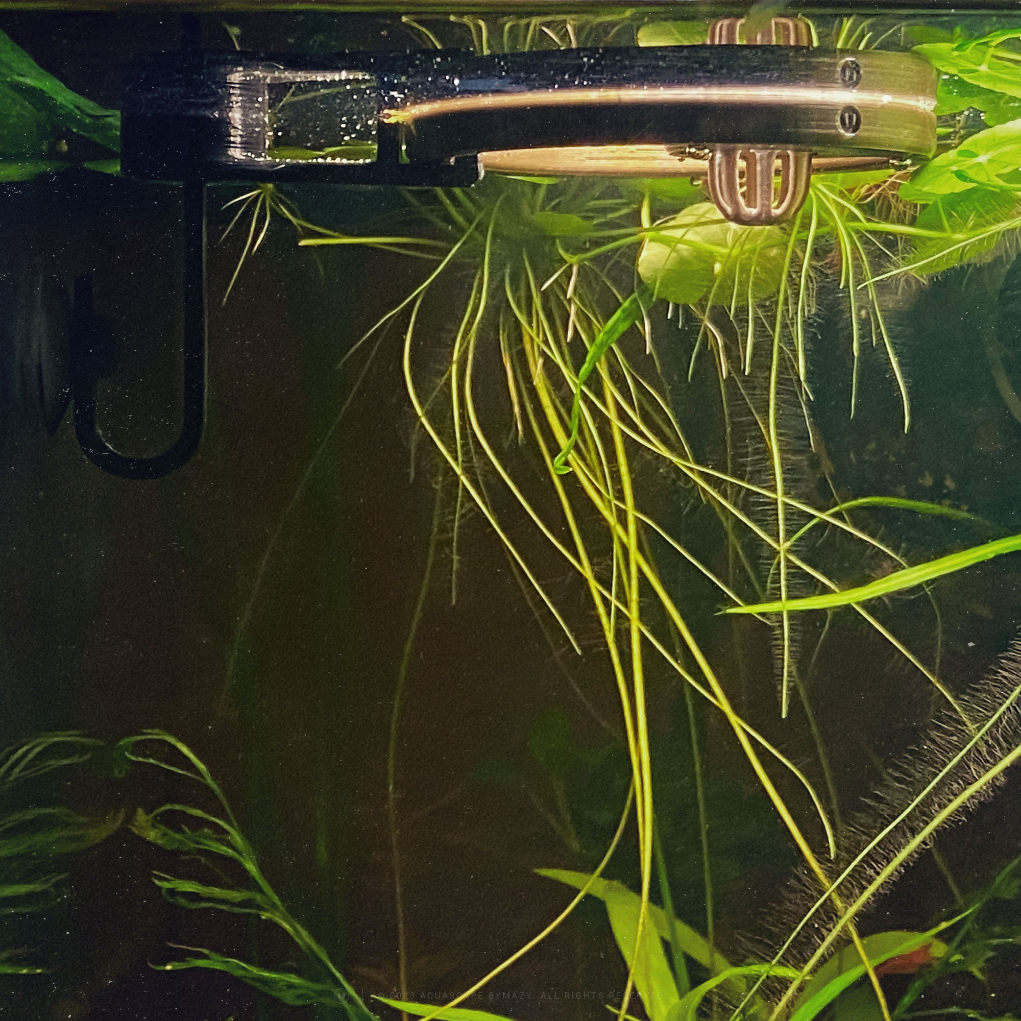 Lock-in-place System for Fish Tank Portals and Feeding Rings - Aquarium ...