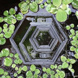 Hexagon shaped fish feeding rings for nano to large tanks in a pond with frogbit floating aquatic plants.