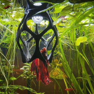 Betta fish tank decor - .de