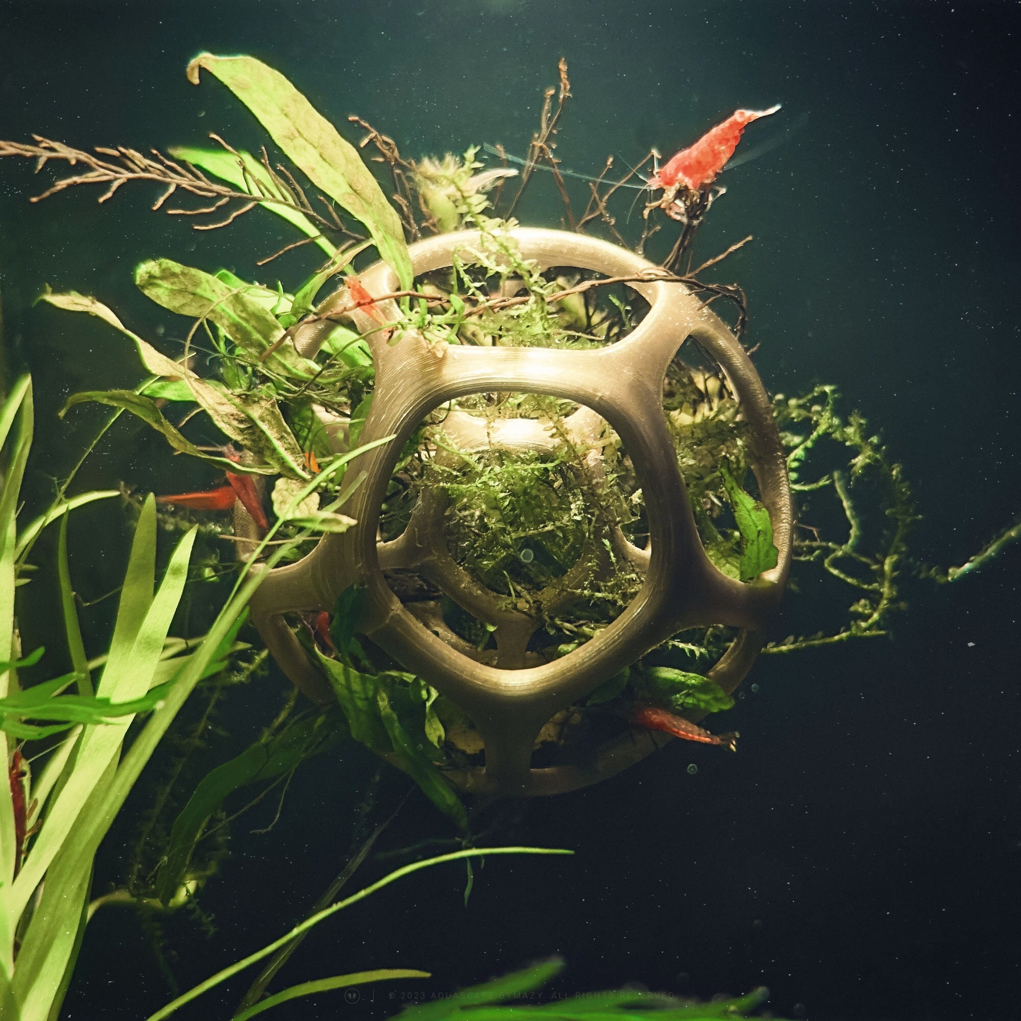 Planted aquarium - .de