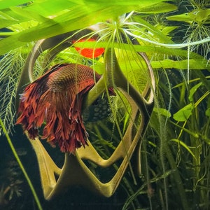 Floating Betta Play-Ground with Worm Feeder - Aquarium Cave, Betta Fish Tank Decor, Hiding Spot for Small Fish, Fishkeeper Gift Ornament