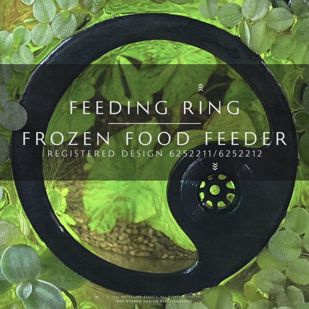 Floating Fish Feeding Ring W/ Cone Feeder, Fishkeeper Gift Idea Aquarium Floater Rings Betta