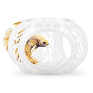 Clear White Betta Lair aquarium hideout with shrimp feeding dish and betta swimming through.