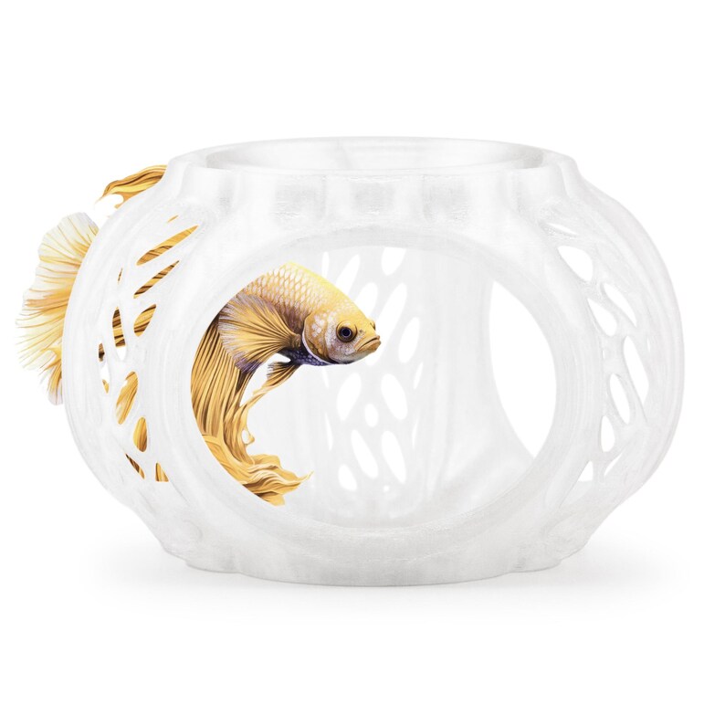 Clear White Betta Lair aquarium hideout with shrimp feeding dish and betta swimming through.