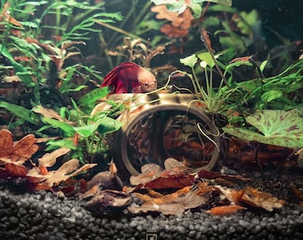Betta Lair – Aquarium Cave Hideout with Shrimp Feeding Dish, Swim-Through Fish Tank Decor, Gift for Fish & Shrimp Keepers