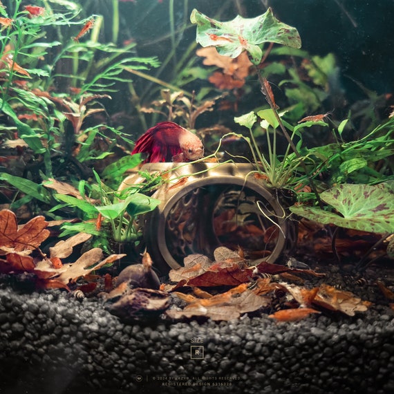 betta fish accessories uk Betta Lair – Aquarium Cave Hideout With Shrimp Feeding Dish, Swim-through Fish  Tank Decor, Gift for Fish & Shrimp Keepers