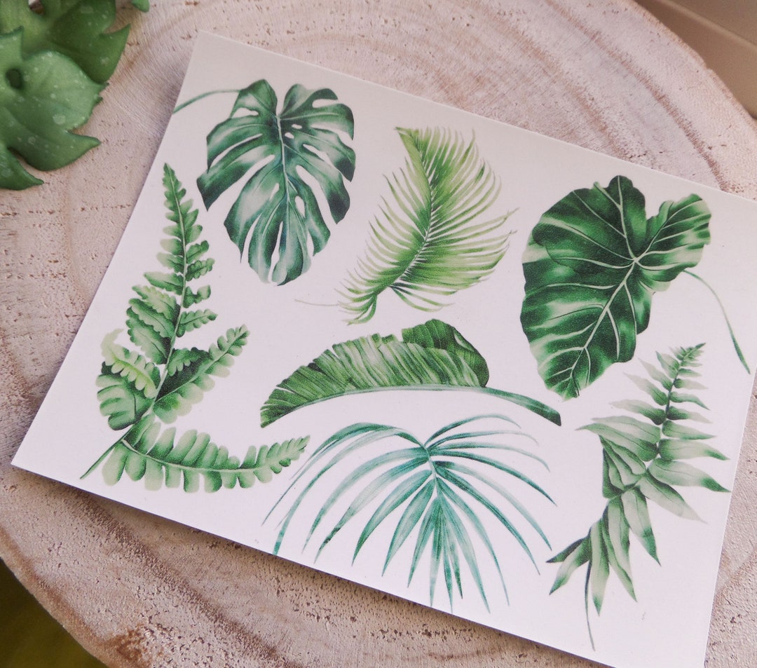 Botanical Waterslide Decals for Polymer Clay, Tropical Leaves Image