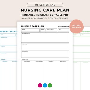 Nursing Care Plan Template, Nursing Printable Editable Report Sheet, Effective Level of Care, Client Care Plan, Nurse Study Guide PDF